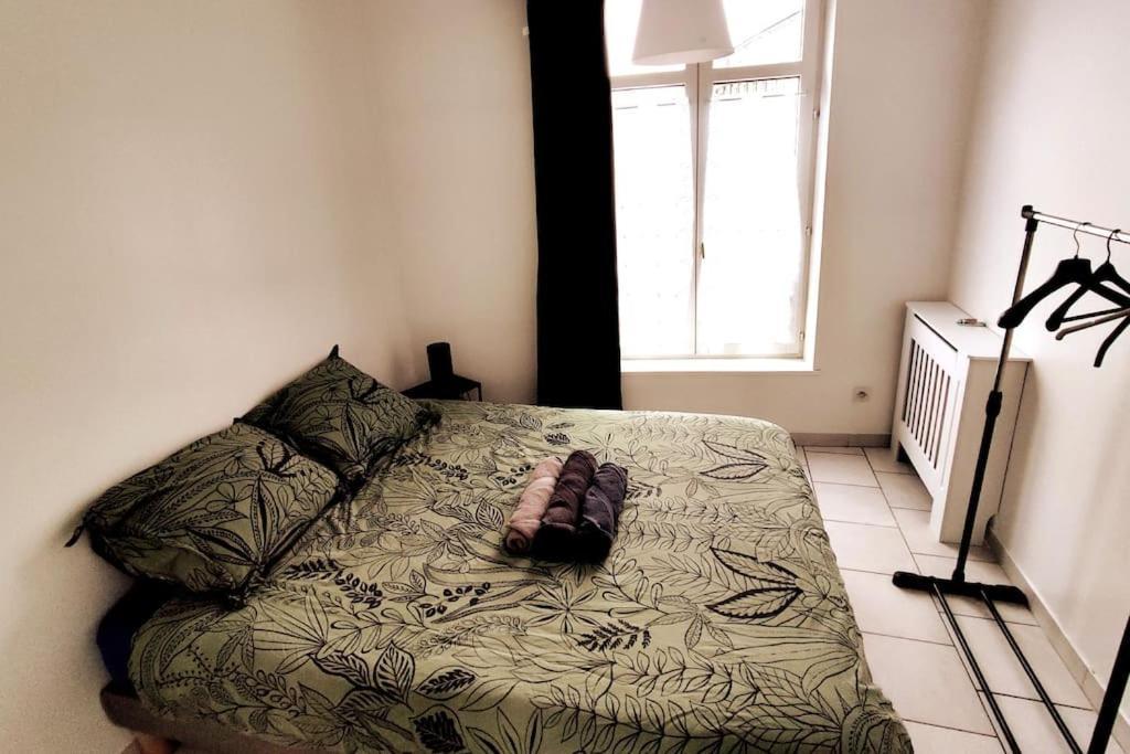Logement Entier Proche Tribunaux Douai Eksteriør billede